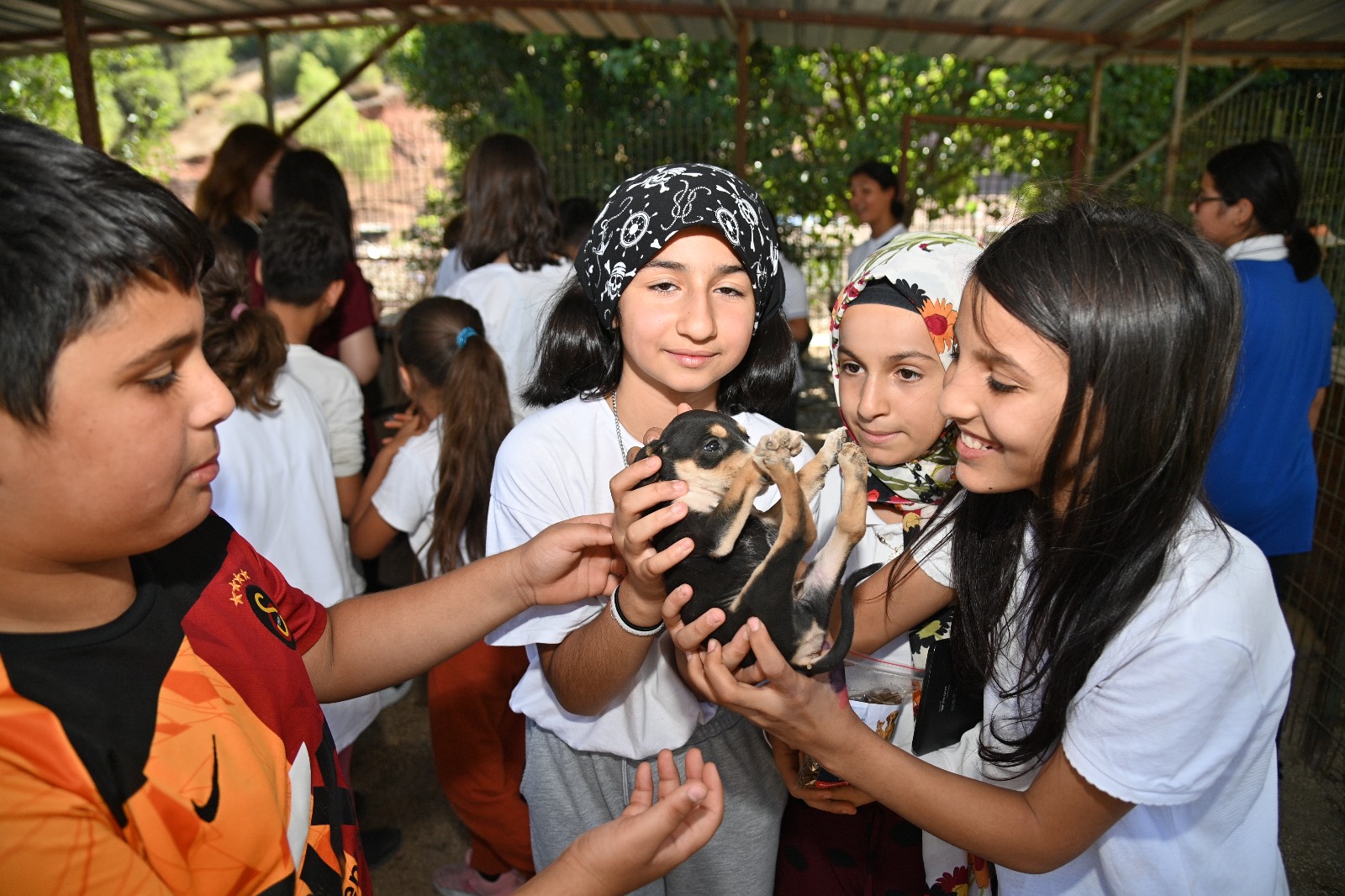 Hayvanları Koruma Günü Kumpati Mamalarıyla Kutlandı (4)