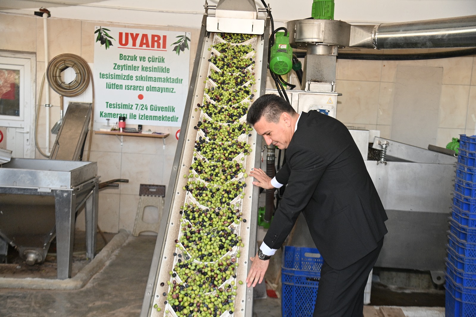 Kumluca'da Zeytin Yağı Sıkımı Başladı (7)