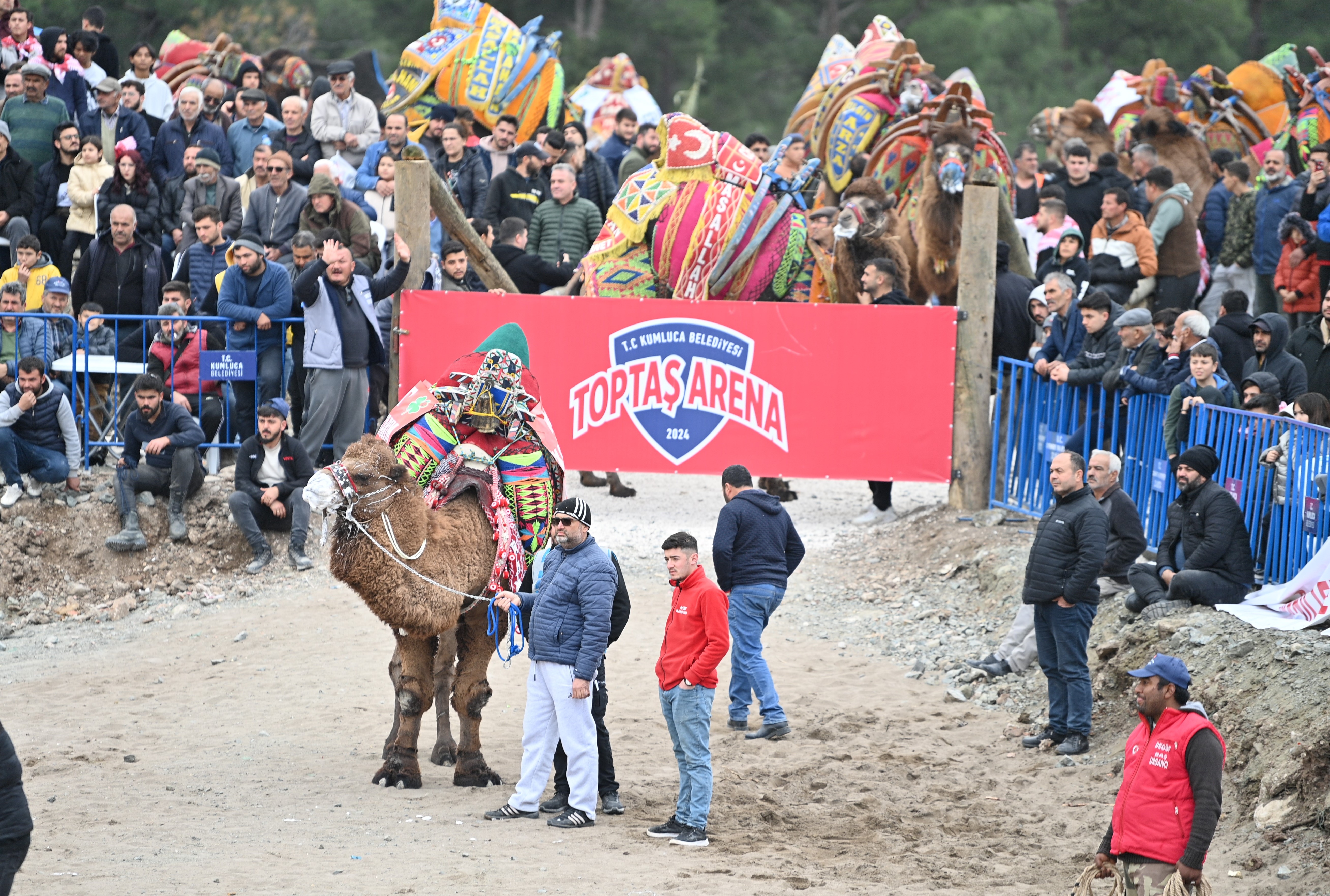 Folklorik Deve Güreşi, Toptaş Arena Folklorik Deve Gösteri Sahası’nda Gerçekleşti (9)