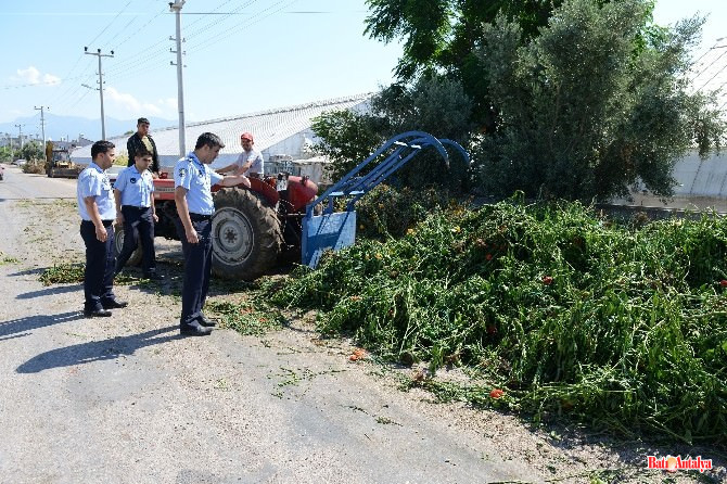 Kumluca Belediyesi Zabita Mudurlugu Ekipleri Sera 1435758506879