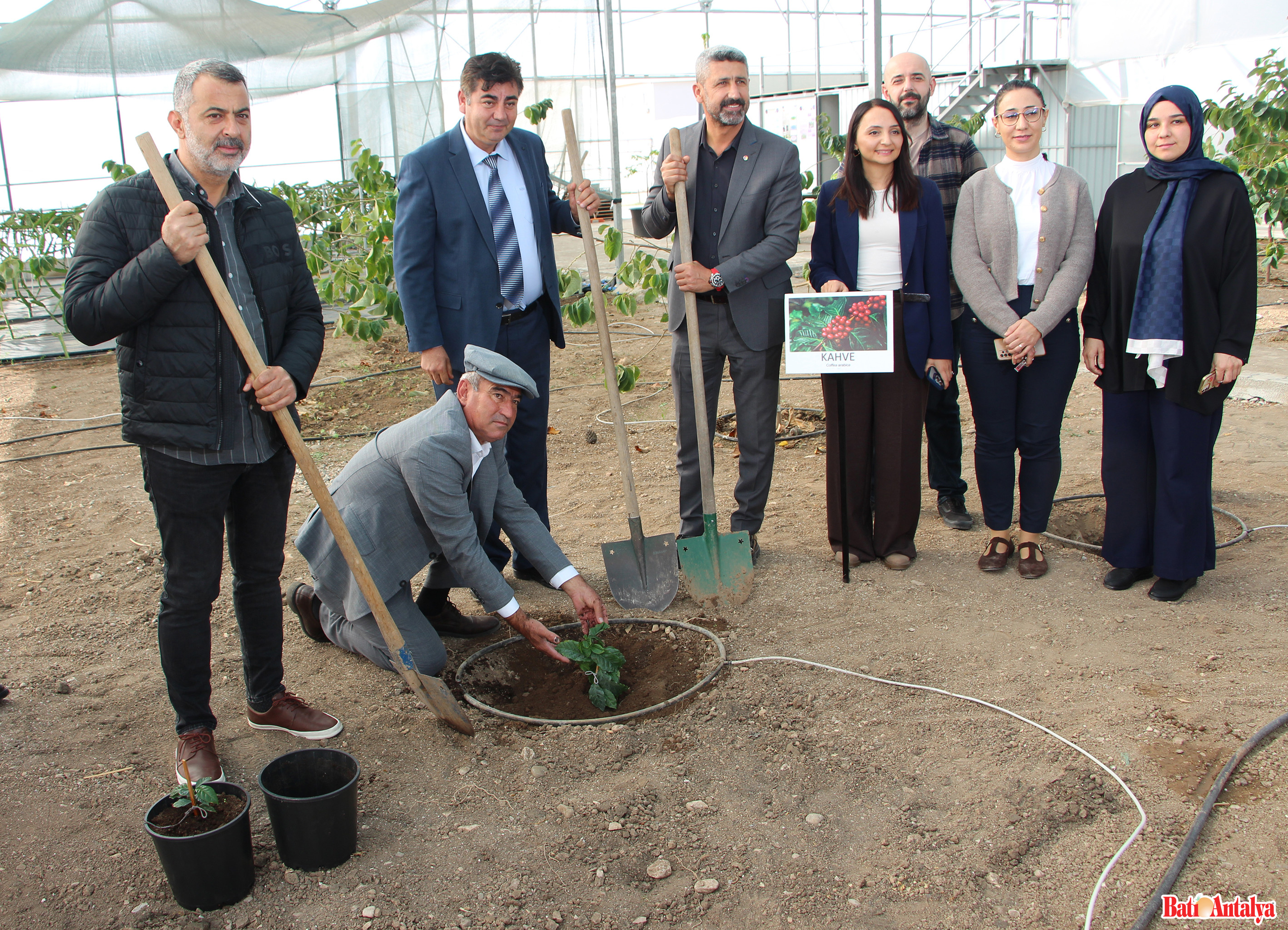 Deneme Amaçlı Kahve Fidanı Dikildi 2 Kopya