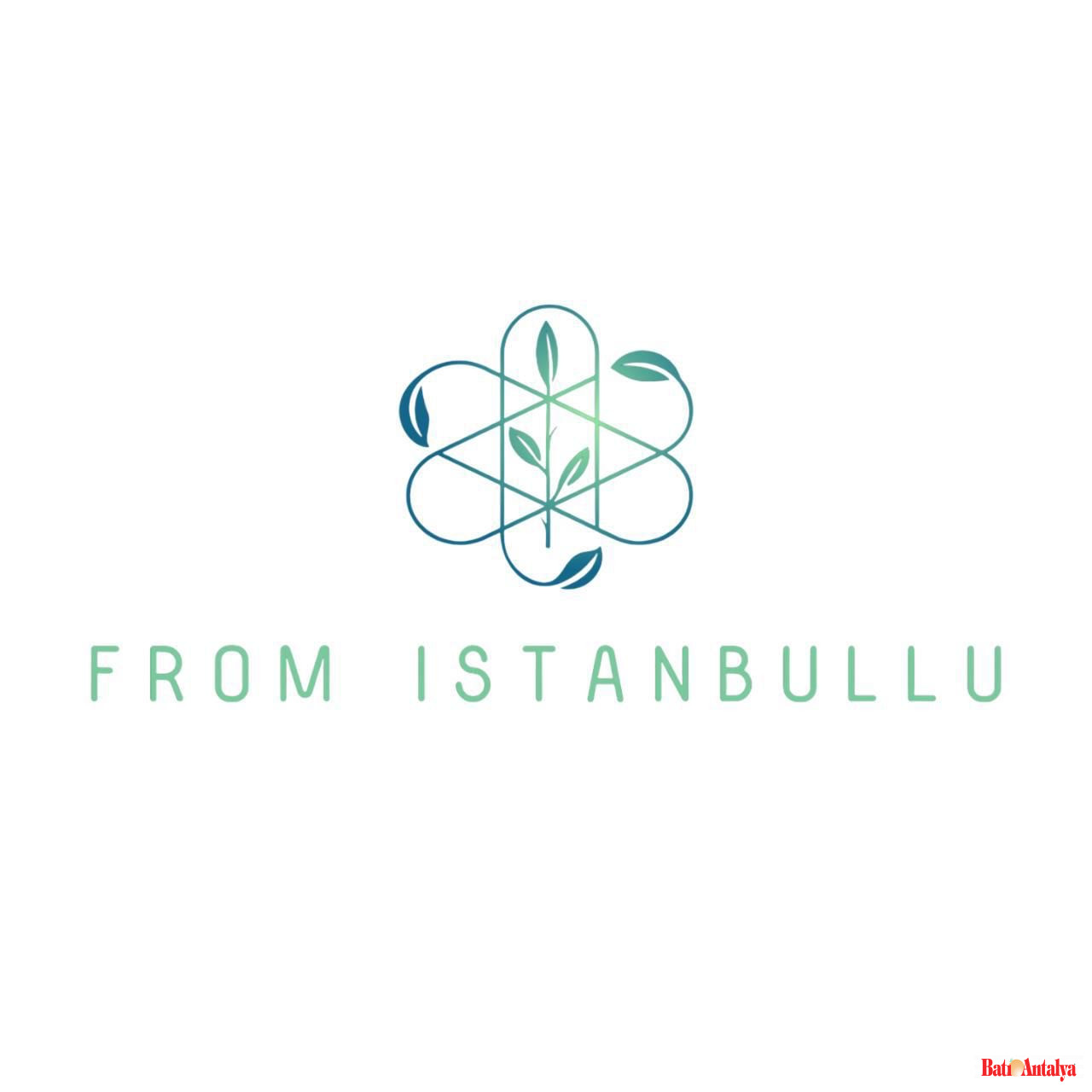 E80Bee61 6F93 4E4B A2B7 34B1301Fff28