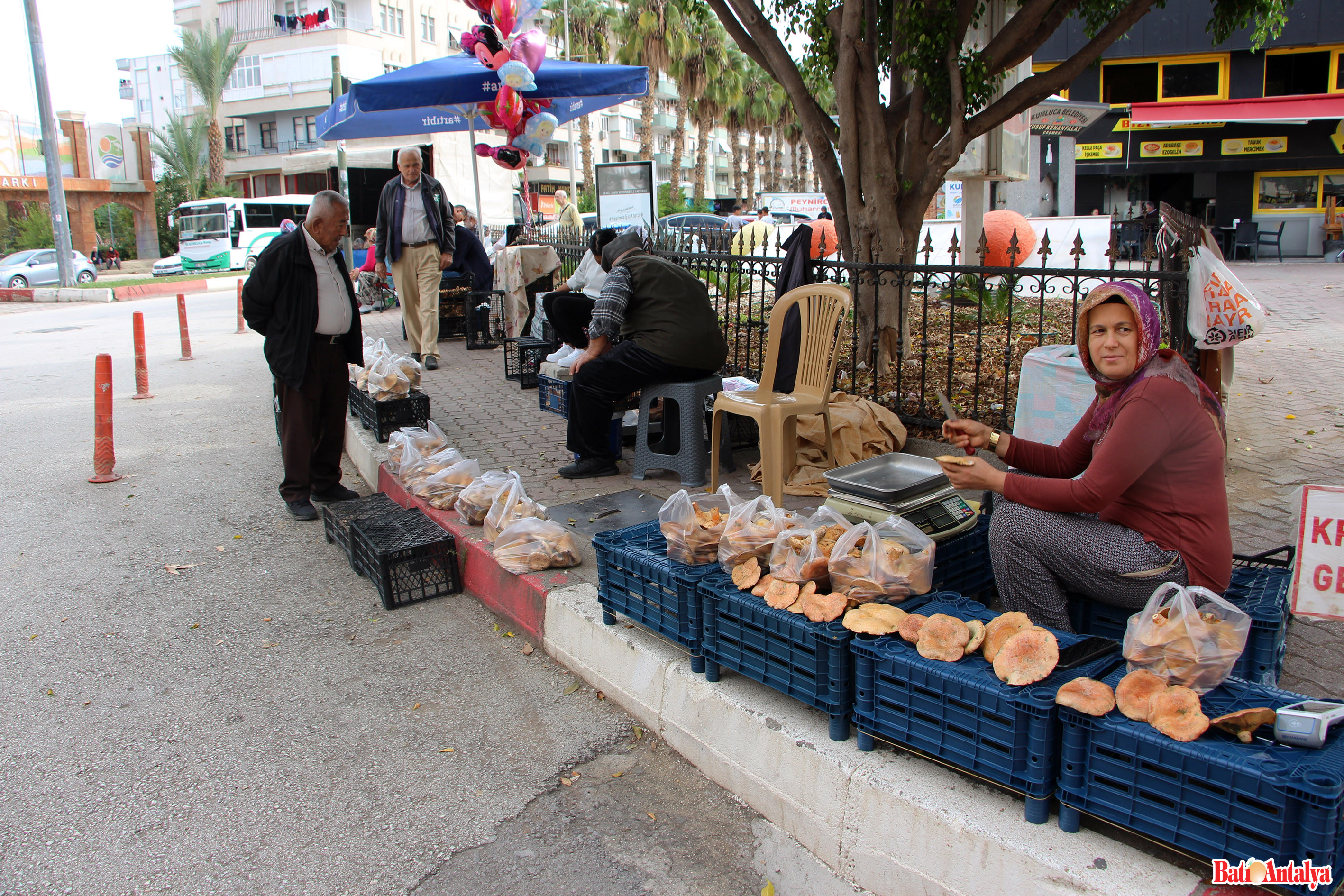 Mantar Geçim Kaynakları Oldu Manşet 2