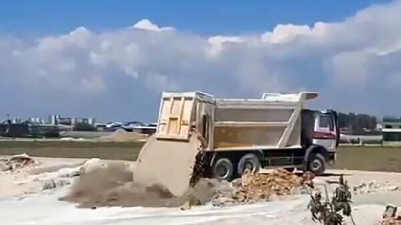 Antalya'da yavru köpeklere beton atık suyu katliamı