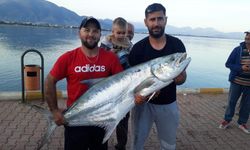 27 kiloluk liça balığı avladı