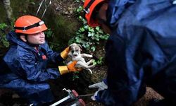 Antalya'da 5 metrelik çukura düşen köpek yavrusu kurtarıldı