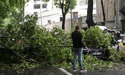 Ankara'da sağanak nedeniyle devrilen ağaç 3 araçta hasara yol açtı