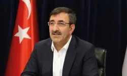 Yeni Cumhurbaşkanı Yardımcısı Cevdet Yılmaz kimdir? Hangi görevlerde yer aldı. Nerelidir....