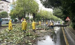 Aydın'da sağanak hayatı olumsuz etkiledi