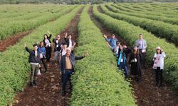 Güney Koreli kozmetikçiler Isparta'da incelemelerde bulundu