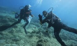 Kaş'ta deniz dibi temizliği yapıldı