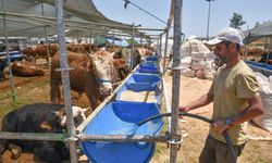 Kurban Bayramı'nda Kepez'de 9 mahallede kurban kesimi yapılacak