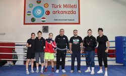 Türkiye'de kamp yapan Azerbaycanlı boksörler yabancılık çekmedi