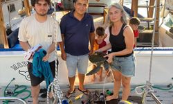 Antalya'da bitkin halde bulunan deniz kaplumbağası tedaviye alındı