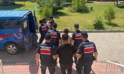 Diyarbakır'da hayvan hırsızlığı yapan 2 zanlı tutuklandı