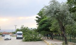 Erzincan'da fırtına çatıları uçurdu, ağaç dallarını kırdı