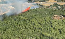 GÜNCELLEME - Antalya'nın Aksu ilçesinde çıkan orman yangını kontrol altına alındı