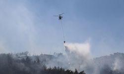 GÜNCELLEME - Hatay'da çıkan orman yangını kontrol altına alındı