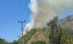 GÜNCELLEME - Muğla'da ormanlık alanda çıkan yangın söndürüldü