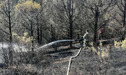 GÜNCELLEME - Sultangazi'de ormanlık alanda çıkan yangın söndürüldü