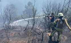 GÜNCELLEME - Sultangazi'de ormanlık alanda yangın çıktı