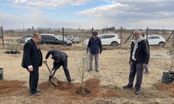 Güney Afrika'da 15 Temmuz şehitleri anısına fidan dikildi