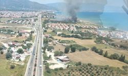 İzmir'de sazlık alanda çıkan yangına müdahale ediliyor