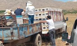 Malatya'da depremzede üreticilere 1305 arılı kovan dağıtıldı