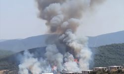 Muğla'da ormanlık alanda çıkan yangına müdahale ediliyor