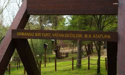 LÜLEBURGAZ KENT ORMANINA ZİYARETÇİ REKORU