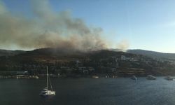 Bodrum'da makilik alanda çıkan yangına müdahale ediliyor