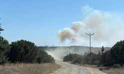 Silivri'de ormanlık alanda çıkan yangın kontrol altına alındı