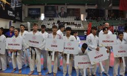 Türkiye Ju Jitsu Şampiyonası Mardin'de başladı