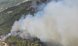 Alanya'da orman yangını çıktı