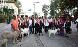 Antalya'da "12. Kemer Yörük Festivali" yapıldı