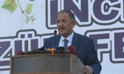 Bakan Özhaseki, Kayseri'de 28. Kültür, Turizm ve Üzüm Festivali'nde konuştu: