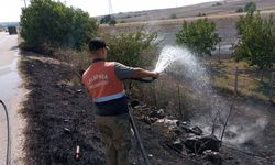 Edirne'de bir tarlada başlayıp meyve bahçesine sıçrayan anız yangını söndürüldü