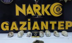 Gaziantep'te 3 kilo 300 gram skunk ele geçirildi, bir kişi gözaltına alındı