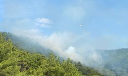 GÜNCELLEME - Kazdağları'ndaki orman yangını kontrol altına alındı