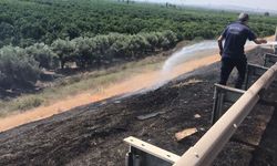 Hatay'da çalılık alanda çıkan yangın söndürüldü