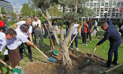 Antalya Büyükşehir Belediye Başkanı Muhittin Böcek, gençlerle birlikte barış için zeytin ağacı dikti