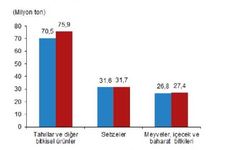 TÜİK: 2023'te bitkisel üretim artacak