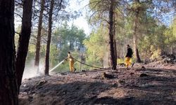 Burdur’da orman yangını ekiplerin hızlı müdahalesi ile söndürüldü