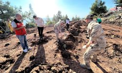 Kilis’te Cumhuriyet’in 100’üncü yılı anısına 100 öğrenci yüz fidan dikti