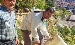 Simav’da arı kovanı sayımı ve destekleme işlemleri