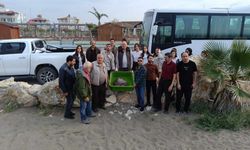 Hatay'da tedavisi tamamlanan caretta caretta denize bırakıldı