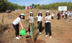 Kumluca’da 100. Yıl Cumhuriyet Ormanında fidanlar toprakla buluştu