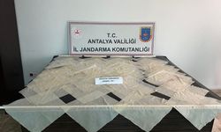 Antalya'da 2 Milyon TL Değerinde Bonzai Ele Geçirildi