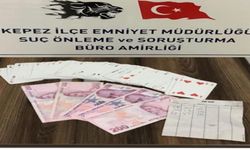 Antalya Emniyeti Suçla Mücadelede Başarılı Operasyonlar Gerçekleştirdi