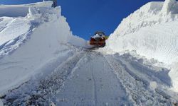 Van'da kar nedeniyle 492 yerleşim yerinin yolu ulaşıma kapandı